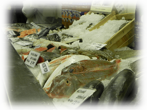 Vis-Uitgestald-op-de Koelbar-Binnen-zeedijk129.